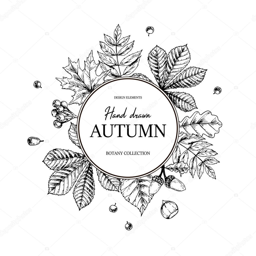 Hand drawn circle autumn botanical frame with falling leaves, acorn and berries. Vector illustration in sketch style isolated on white. Realistic forest design elements Space for text