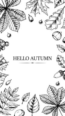 Elle çizilmiş ögeleri olan dikey sosyal ağ şablonu. Sancaklar, kartlar, anonslar, skeç tarzında bültenler için sonbahar tasarımı. Vektör çizimi. Metin için boşluk