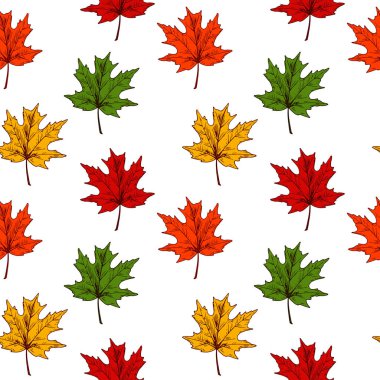 Sonbahar akçaağacı beyaz arka planda izole edilmiş, kusursuz bir desen bırakır. Elle çizilmiş taslak vektör çizimi. Klasik sanat eseri.