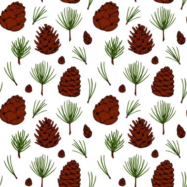 El yapımı orman ve köknar ağacı, çam ağacı dalları ve beyaz arka planda izole edilmiş kozalaklı Noel deseni. Renkli çizim tarzında vektör illüstrasyonu