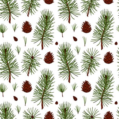 El yapımı orman ve köknar ağacı, çam ağacı dalları ve beyaz arka planda izole edilmiş kozalaklı Noel deseni. Renkli çizim tarzında vektör illüstrasyonu