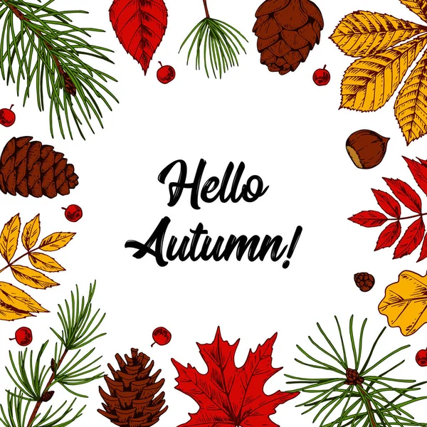 Hand Drawn Autumn Square Banner Hand Drawn Leaves Cones Christmas — Stock Vector
