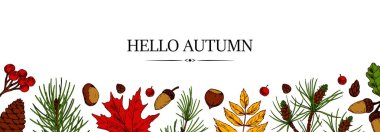 El yaprağı, çam kozalağı, Noel ağacı dalı, meşe palamudu ve böğürtlenli sonbahar afişi beyaza izole edilmiş. Mesaj için yer var. Renkli çizim tarzında vektör illüstrasyonu.