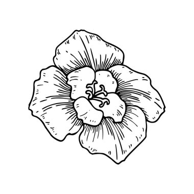 El yapımı hurma çiçeği beyaz arka planda izole edilmiş. Robot resim biçiminde vektör illüstrasyonu