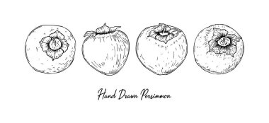 Beyaz arkaplanda izole edilmiş el yapımı hurma seti. Robot resim biçiminde vektör illüstrasyonu