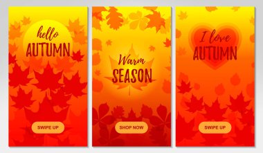 Düşen yapraklı sosyal medya hikayeleri için bir sürü sonbahar dikey tasarımı. Mesaj için yer. Vektör illüstrasyonu