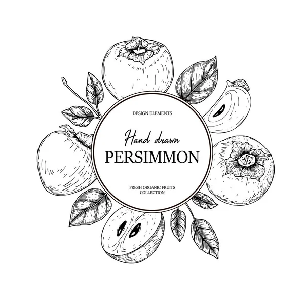 Ručně Kreslený Vinobraní Persimmon Design Vektorová Ilustrace Stylu Náčrtku — Stockový vektor