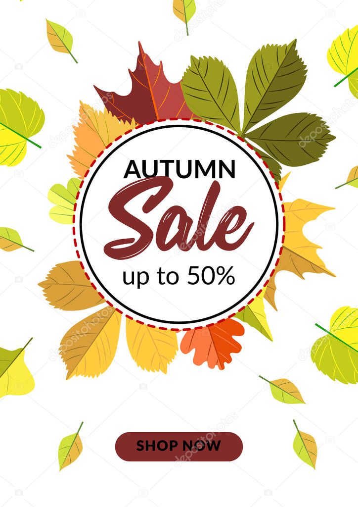 Autumn vertical sale design with colorful leaves. Place for text. Vector illustration