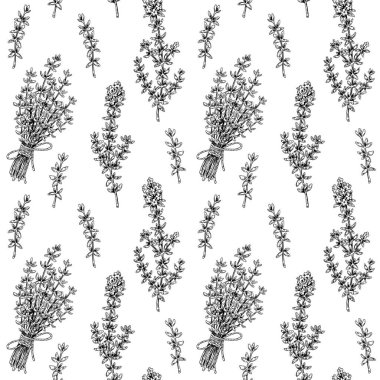 Kekikli kekik deseni çizdim. Vektör illüstrasyonu