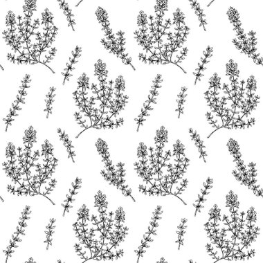 Kekikli kekik deseni çizdim. Vektör illüstrasyonu