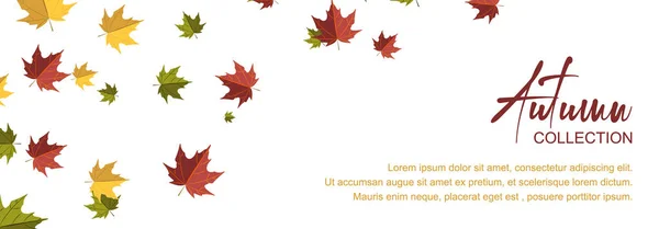 Conception Horizontale Automne Avec Des Feuilles Tombantes Colorées Endroit Pour — Image vectorielle