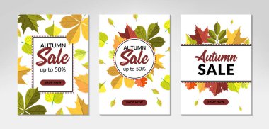 Renkli yapraklı sonbahar dikey satış tasarımları. Mesaj için yer. Vektör illüstrasyonu