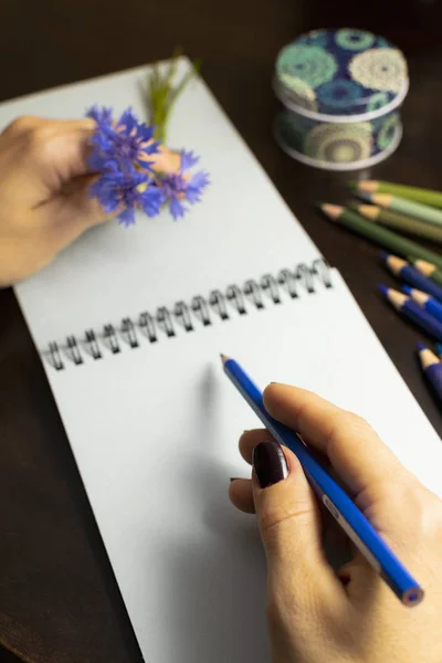 Beyaz dizüstü el berabere kahverengi bir tablo. Öte yandan cornflower tutar. Renkli kalemler ve dekoratif kutusunun yanındaki. Sanatçı elleri. Sketchbook Yüzüklerin üzerinde.