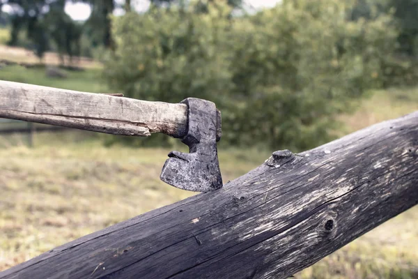 bir günlüğüne açık bahçede balta. Kapat.