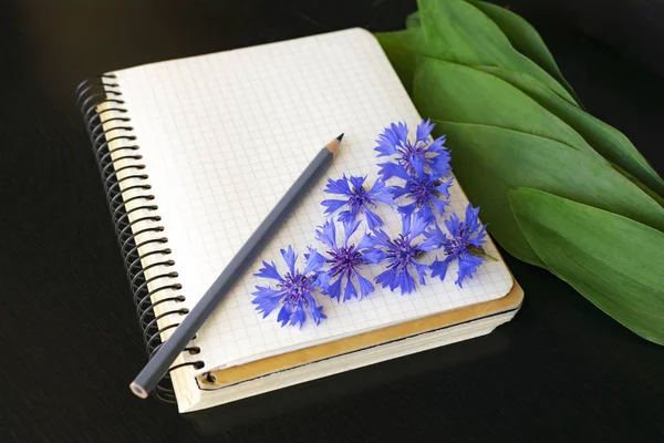 Kahverengi bir masada beyaz karalama defteri. Gri pensil ve Peygamber kafes sayfasında. Sketchbook Yüzüklerin yakınındaki yeşil yaprakları üzerinde.