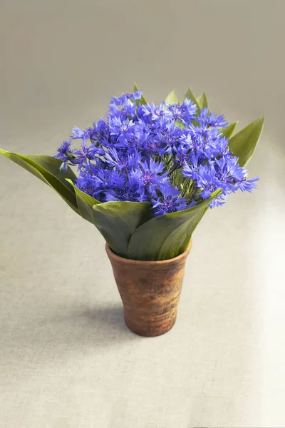 Peygamber kil vazoda