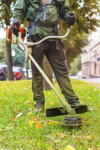 string trimmer in the hands of the worker. mowing grass in the c