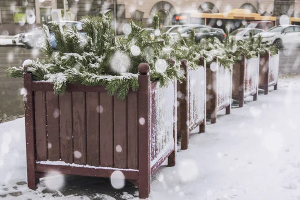 Tencere şehir kış sokakta ağaçları ile. kar yağışı