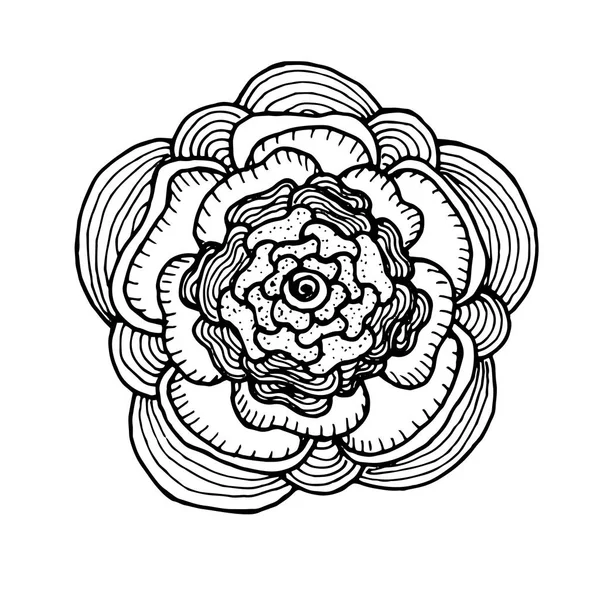 Vektör çiçek mandala, zentangle tarzı