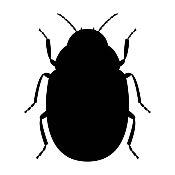 Silhueta preta do besouro da batata do Colorado sobre um fundo branco. Ilustração vetorial . —  Vetores de Stock