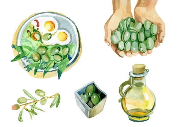 Набір акварельних ілюстрацій оливки — стокове фото