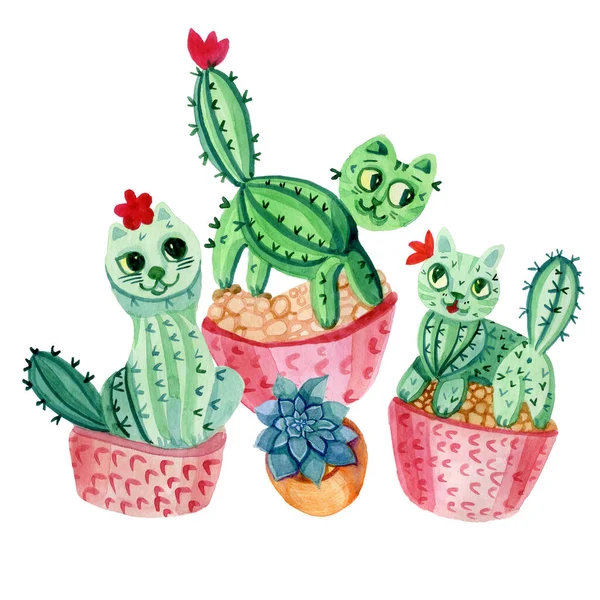 แมวสัตว์น่ารัก cacti ในหม้อและ succulents — ภาพถ่ายสต็อก