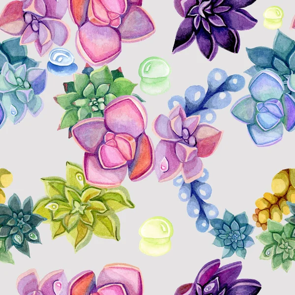 Zökkenőmentes minta botanikus akvarell zamatos — Stock Fotó