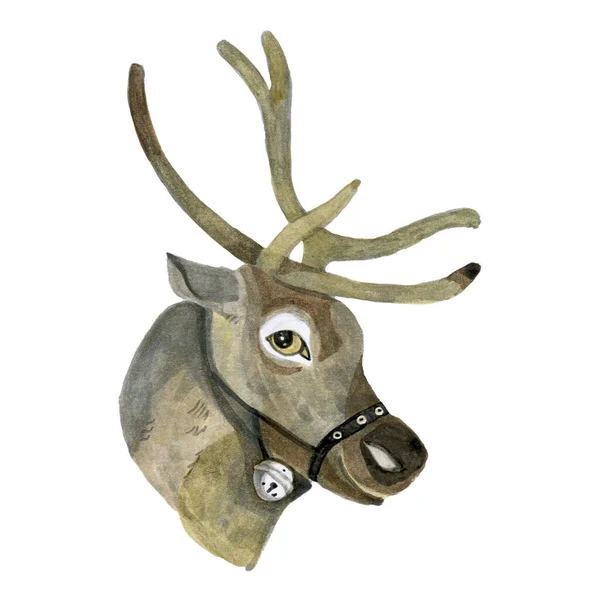 Santas Rentier-Aquarell-Illustration des Hirschkopfes in Großaufnahme — Stockfoto