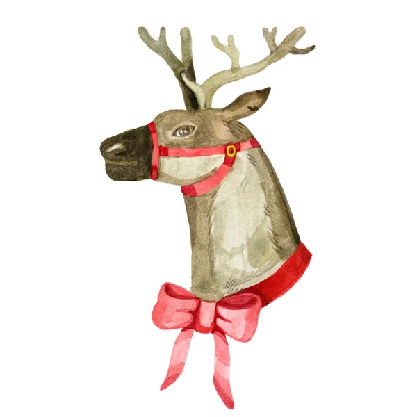 Santas Noël renne aquarelle illustration mignonne — Photo