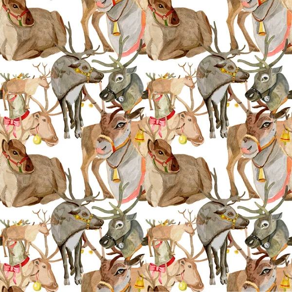 Santas reindeer pattern for Christmas wrapping paper — Stock Photo, Image