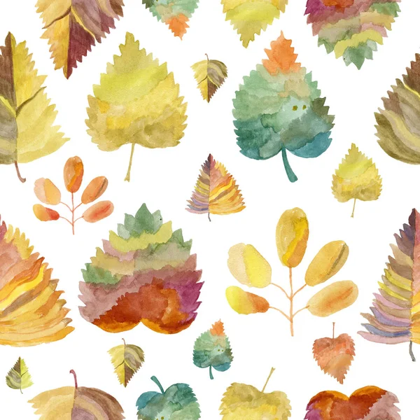 Patrón corona bordillo Hojas de otoño son del fondo blanco de los elementos de diseño —  Fotos de Stock