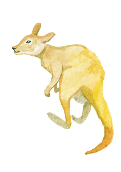 Cute watercolor kangaroo animals symbol australia — Stock Photo, Image