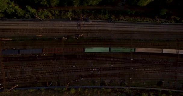 Verkeersbrug. Avond verkeer bij zonsondergang. — Stockvideo