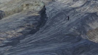 Şafakta boksör eğitim