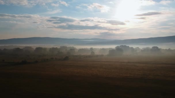 Hajnalban a lábánál a hegyek a köd — Stock videók