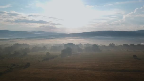 Brouillard à l'aube au pied des montagnes — Video