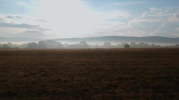 Hajnalban a lábánál a hegyek a köd — Stock videók