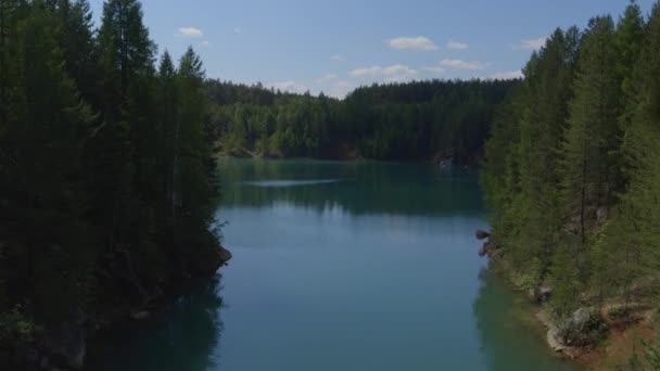 Озеро в лесу — стоковое видео