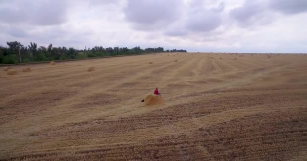 El viajero está en el campo — Vídeo de stock