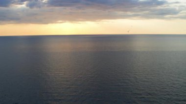 Bir kuş denizin üzerinde uçar