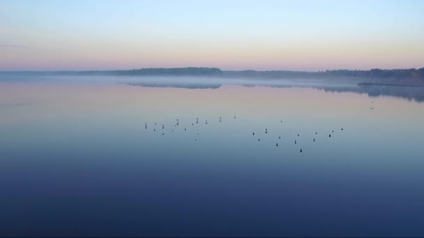 Летом озеро на рассвете — стоковое видео