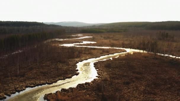 Luchtfoto van de rivier in de vorm van een slang op het veld. — Stockvideo