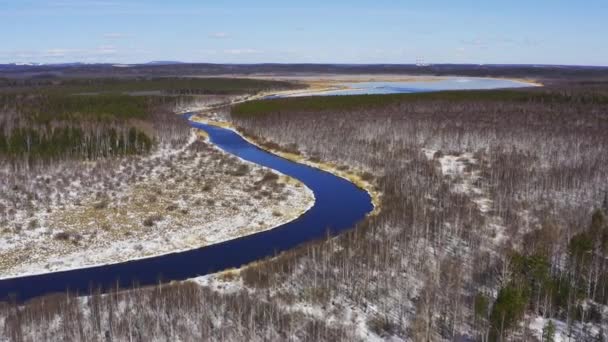 Imágenes aéreas del río fluye en el bosque entre las costas nevadas en tiempo soleado . — Vídeo de stock