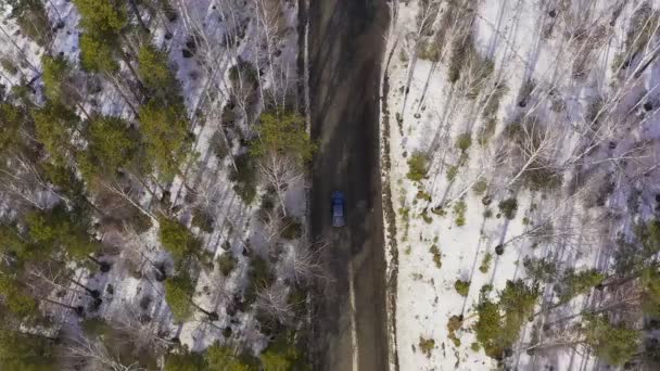 Légifelvétel az autó, hogy lovagol egy erdei úton a fák között. — Stock videók