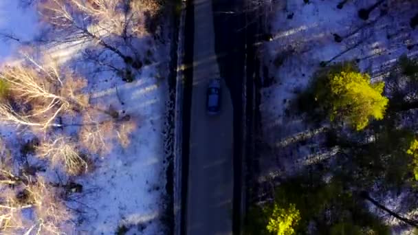 Vista aérea do carro que monta em uma estrada de floresta entre as árvores . — Vídeo de Stock