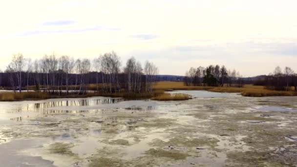 Vue aérienne de l'étang avec roseaux et arbres sur les îles . — Video