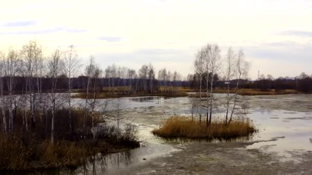 Vue aérienne de l'étang avec roseaux et arbres sur les îles .