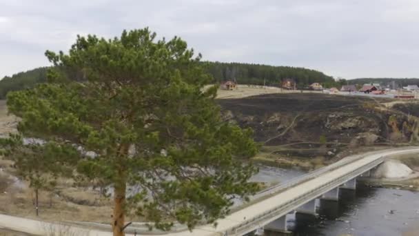 Une vue aérienne du pont routier de derrière l'arbre.