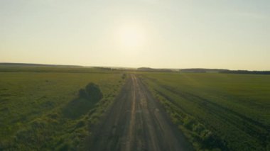 Gün batımında güneşli yeşil bir tarlanın havadan görünüşü