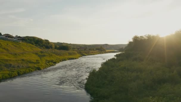 Uitzicht vanuit de lucht op de rivier met een rots en bos aan de oevers — Stockvideo